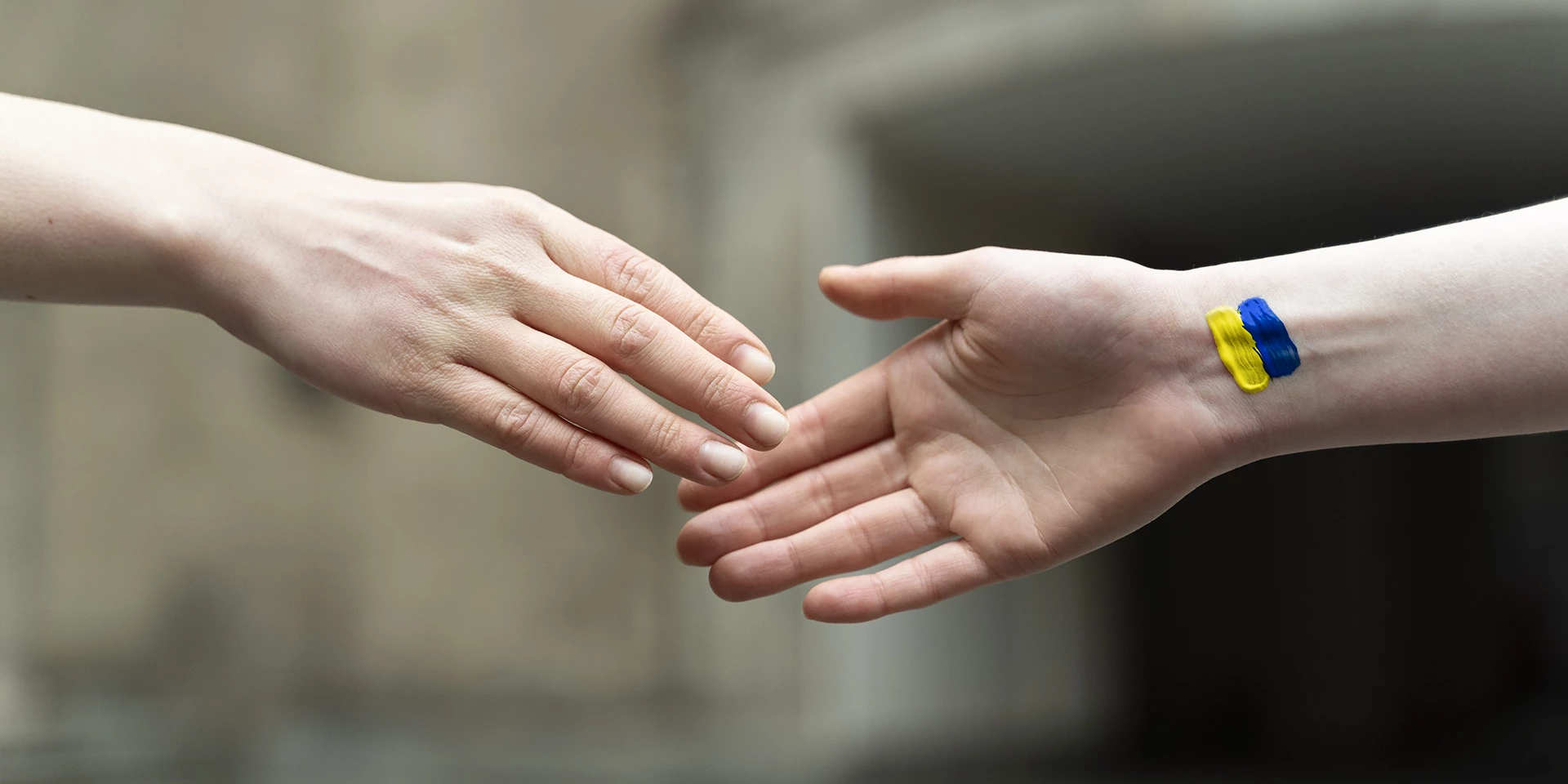 become a volunteer