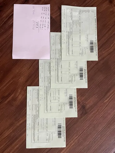 Charlotte for Ukraine - 451515056 10161641489452372 3615746411885861378 n result